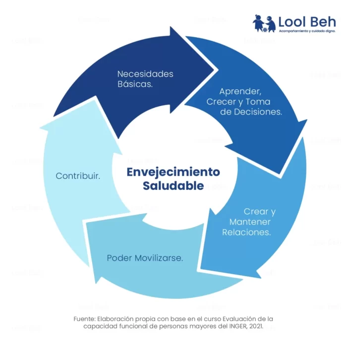 envejecimiento_digno_loolbeh_infografias_acompañamiento_cuidadodigno